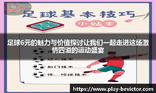 足球6元的魅力与价值探讨让我们一起走进这场激情四溢的运动盛宴